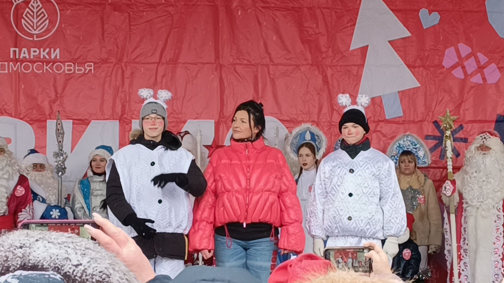 новый год, лобня, дед мороз, вертикалки,