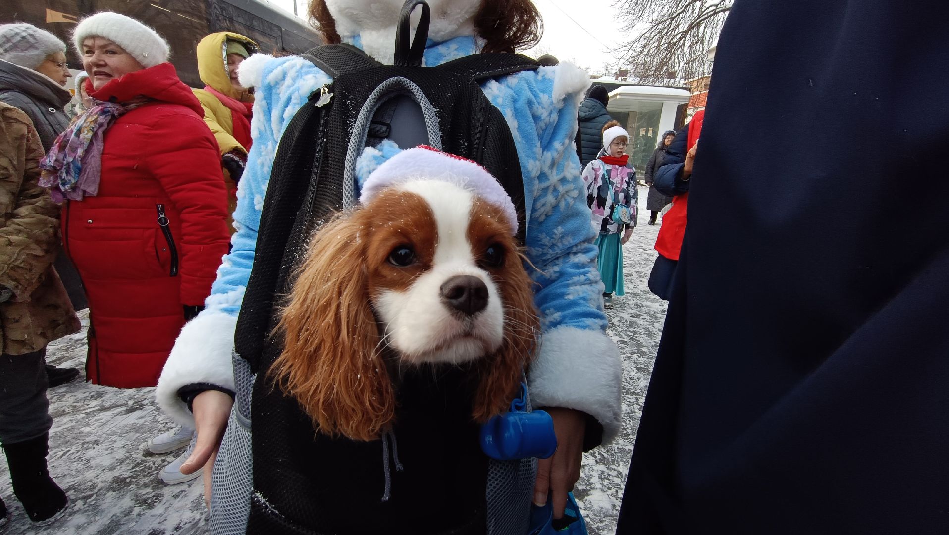 новый год, лобня, дед мороз, вертикалки,