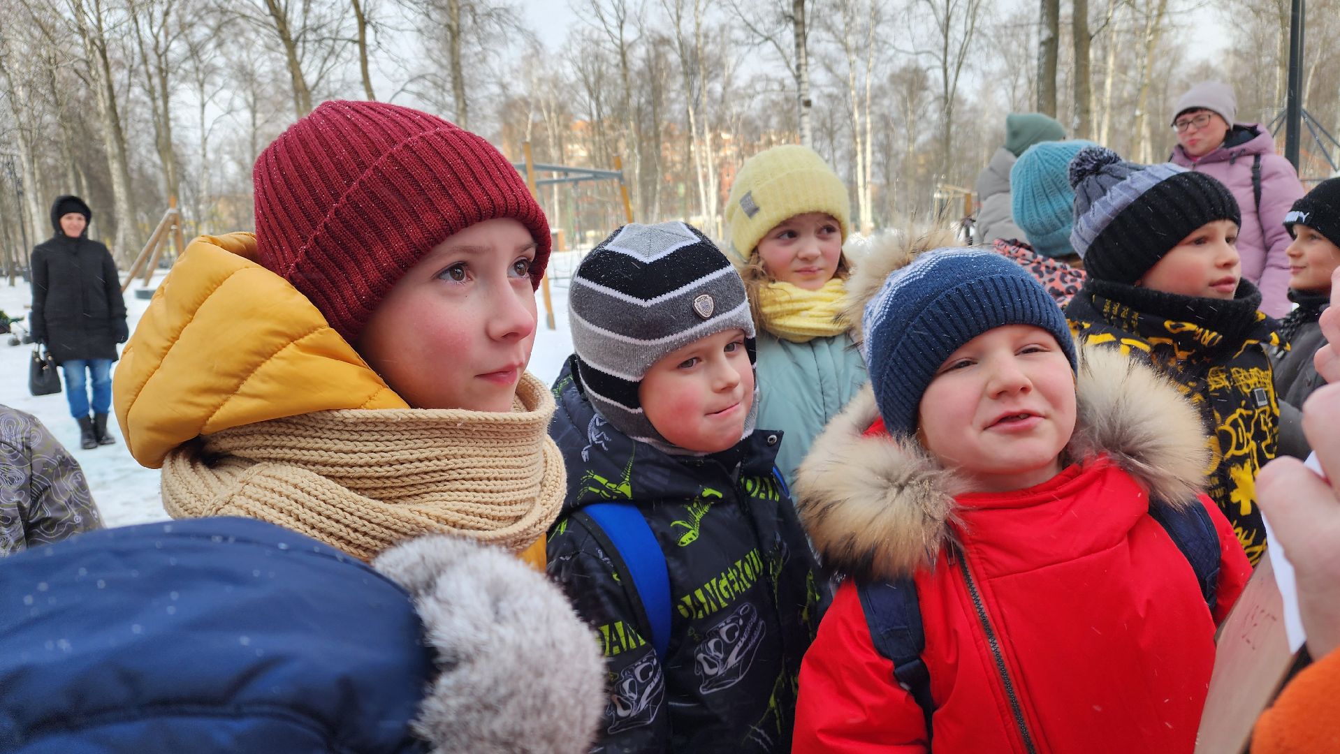 ступино, парки ступино, зима в подмосковье, парки баранки,