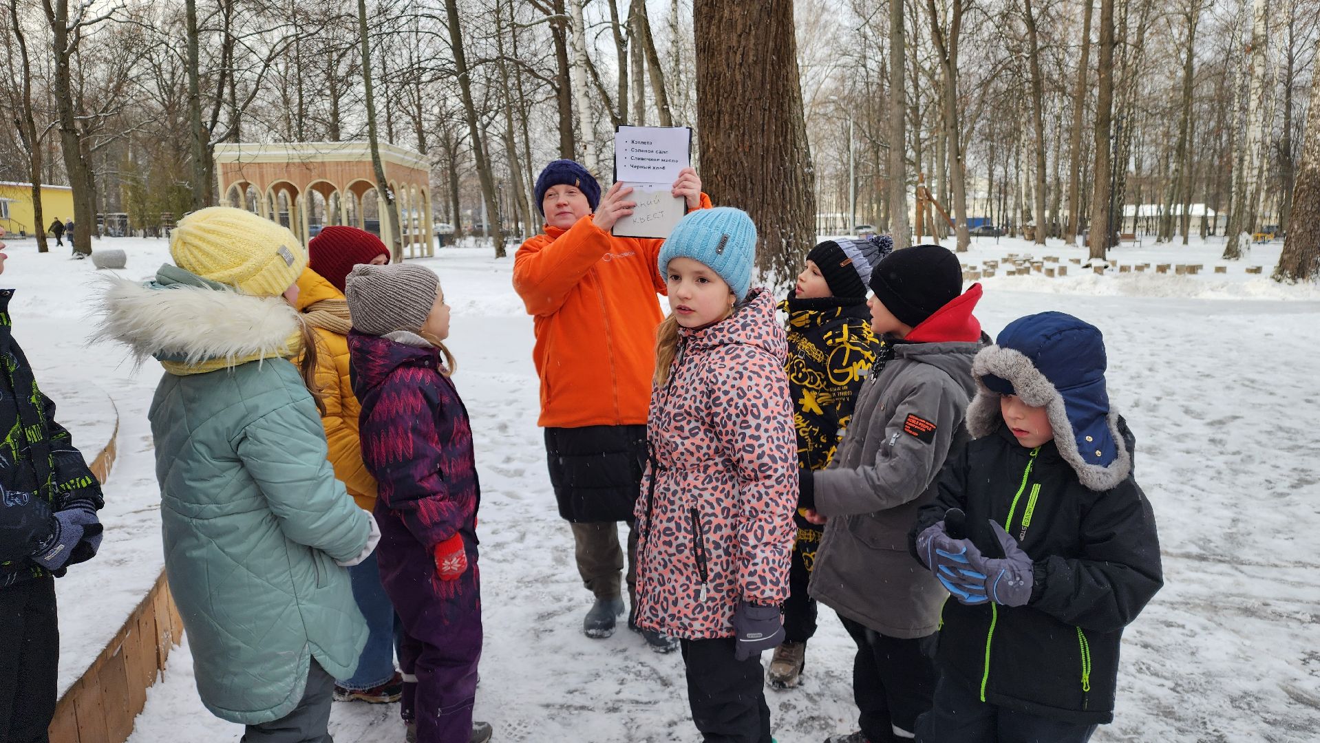 ступино, парки ступино, зима в подмосковье, парки баранки,