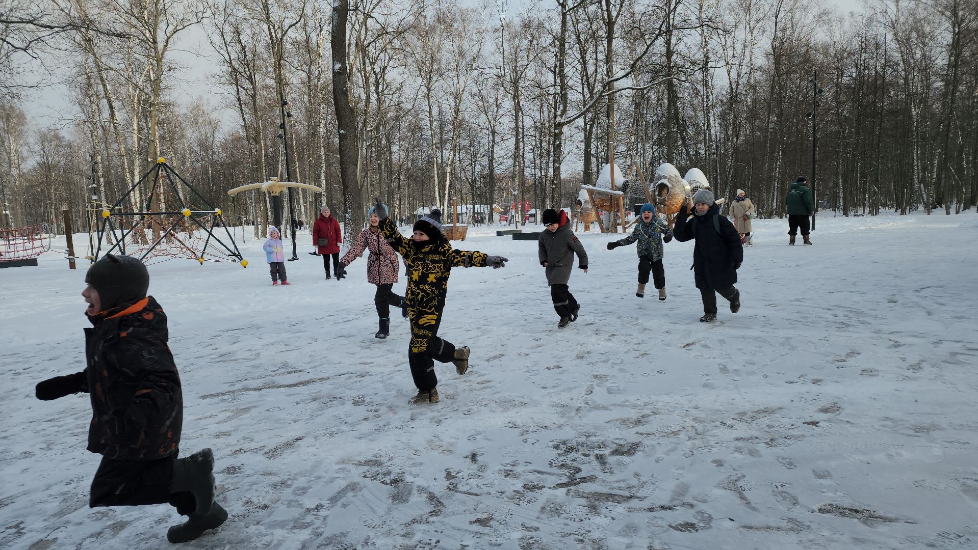 ступино, парки ступино, зима в подмосковье, парки баранки,