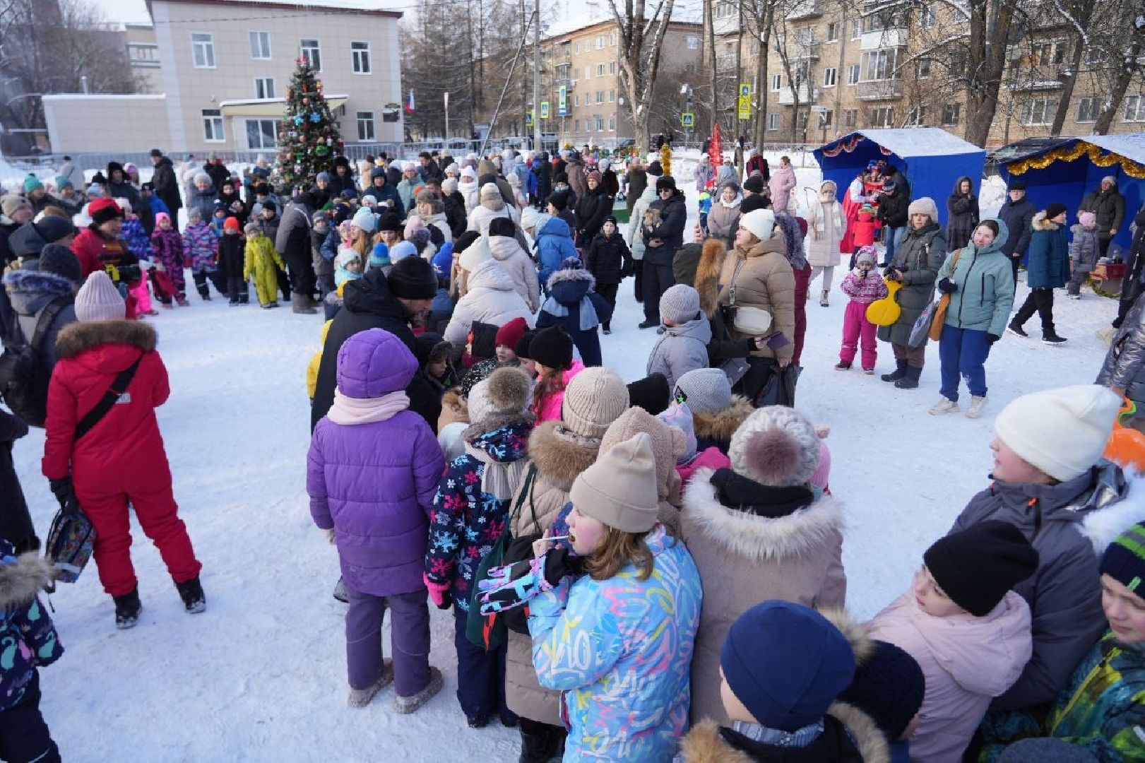 Новый год, Зажжение огней на елке, Зима в Подмосковье, Сергиев Посад, Сергиево-Посадский городской округ, Праздник, вертикалки,