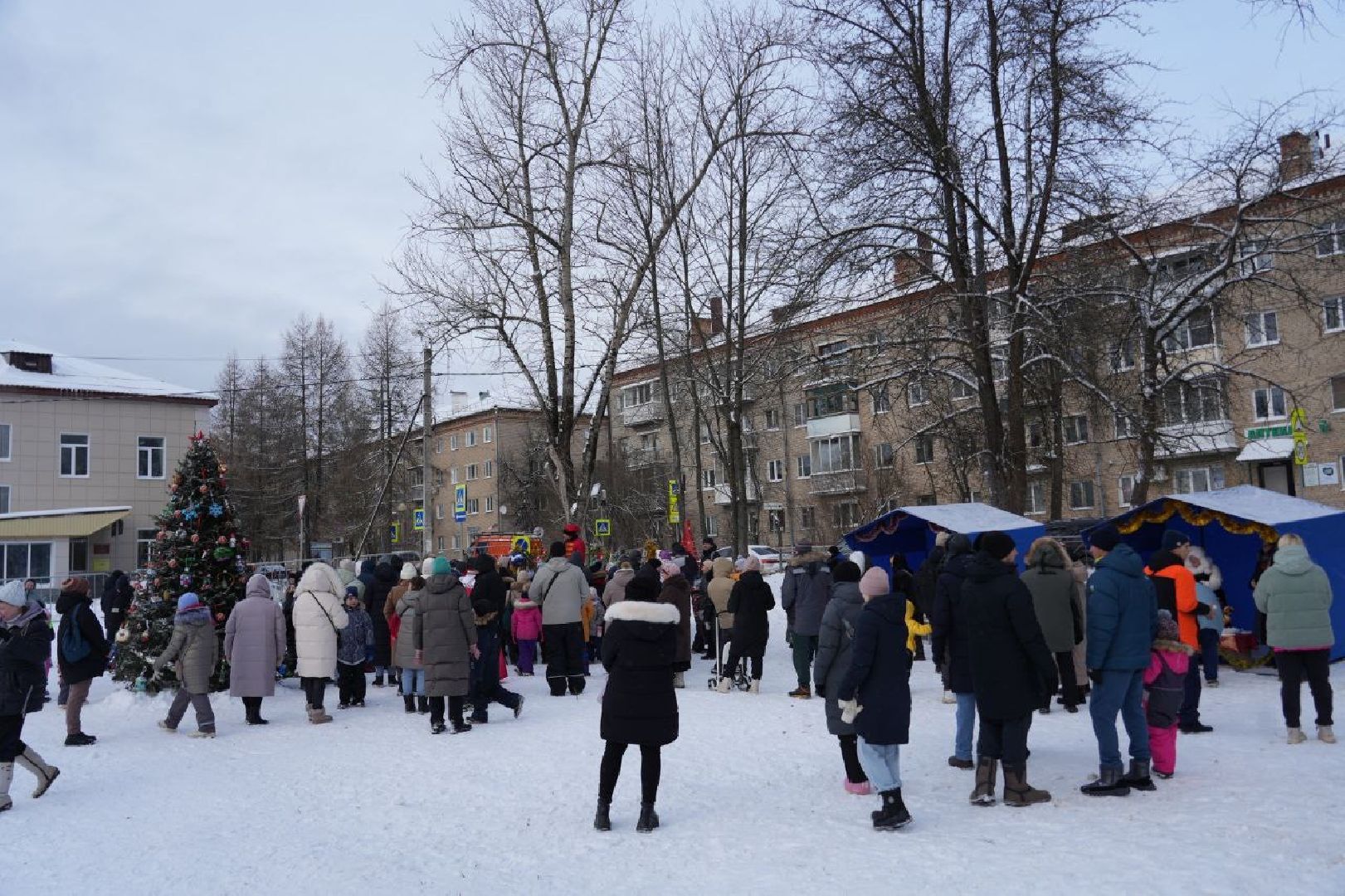 Новый год, Зажжение огней на елке, Зима в Подмосковье, Сергиев Посад, Сергиево-Посадский городской округ, Праздник, вертикалки,