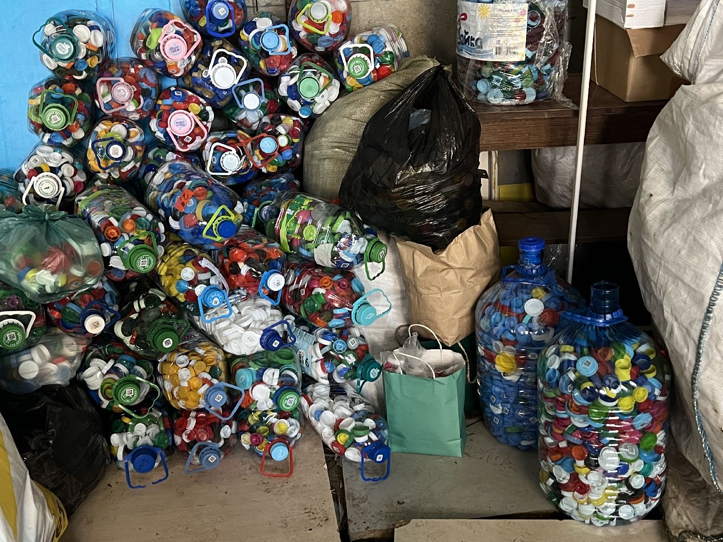 Химки, экология, переработка, природа, осознанное потребление