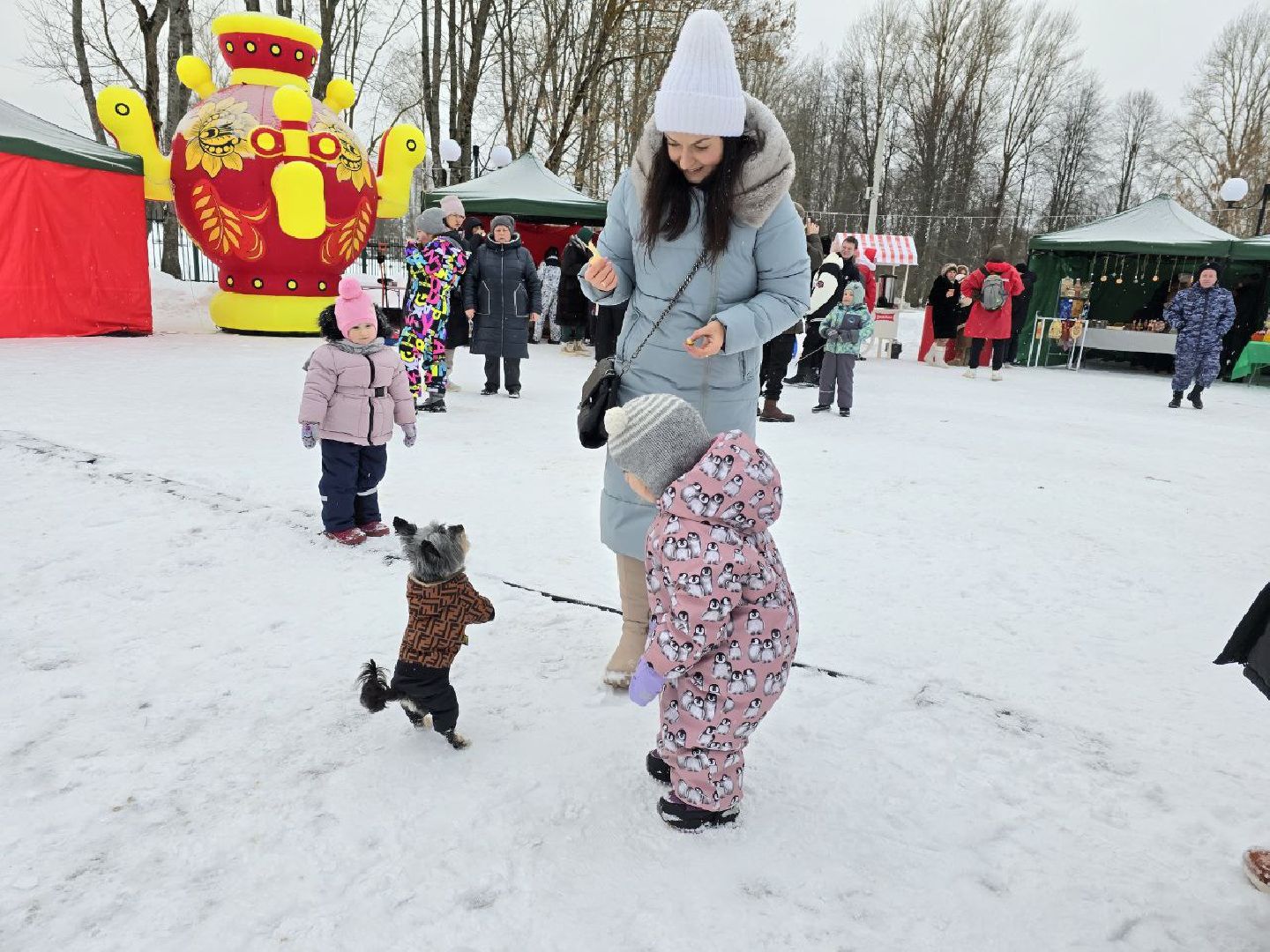 можайск, можайский городской округ, подмосковье, парки, баранки, общеобластное мероприятие, праздник, концерт, парк ривьера, городской парк, зима в подмосковье, вертикалки,