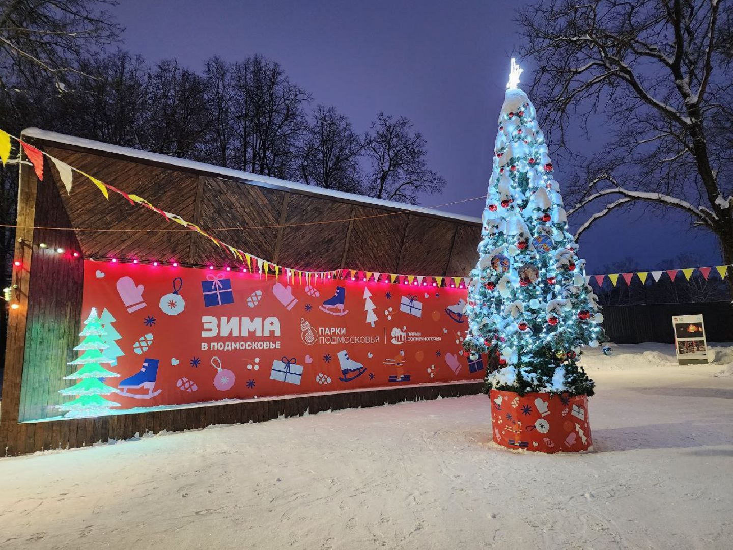 Солнечногорск, Городской парк, Жители, Озеро, Иллюминация, вертикалки