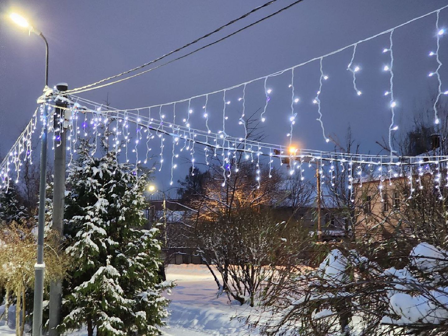 Солнечногорск, Городской парк, Жители, Озеро, Иллюминация, вертикалки