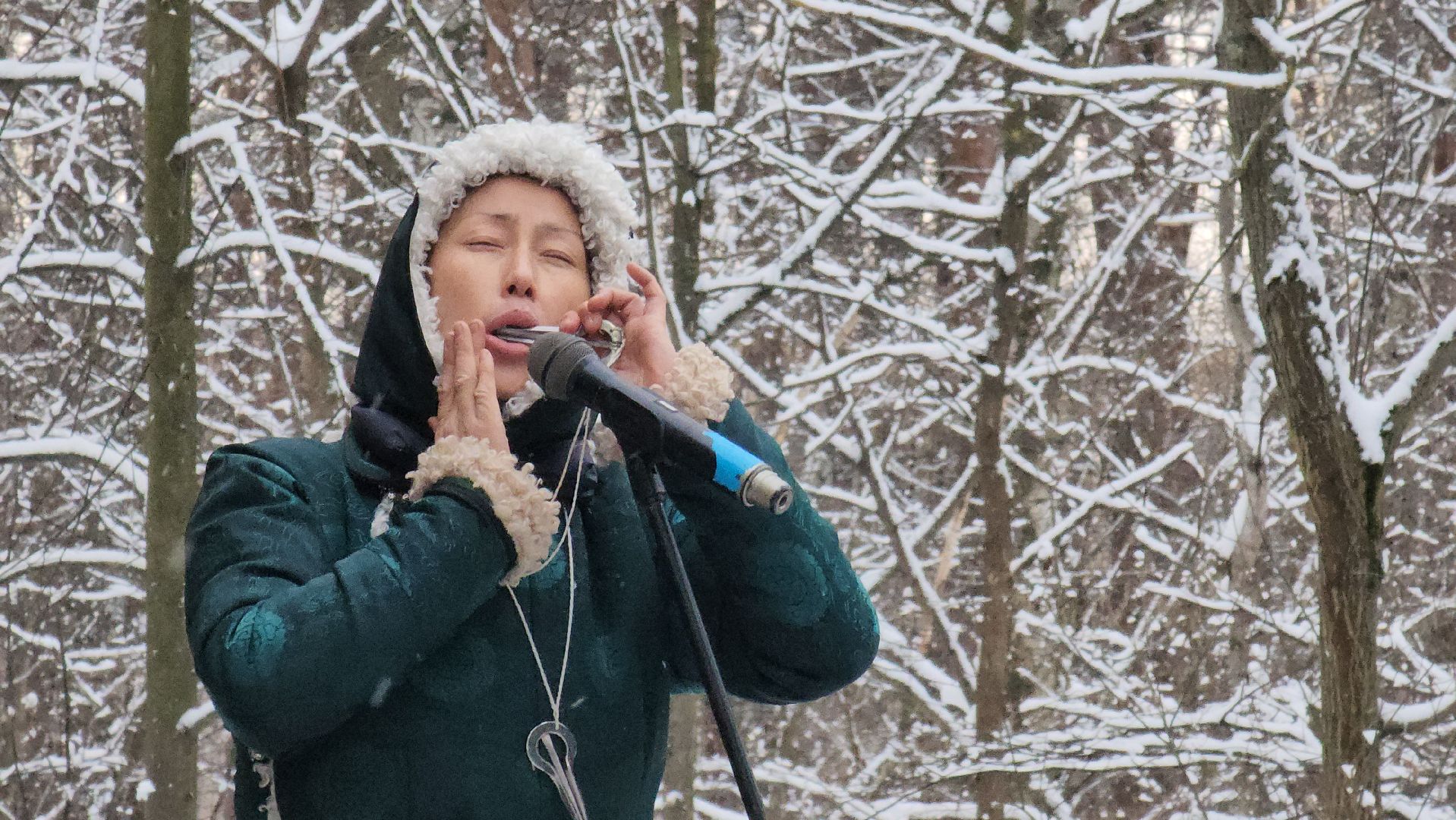 парки баранки, красногорск, день чая, новый год,