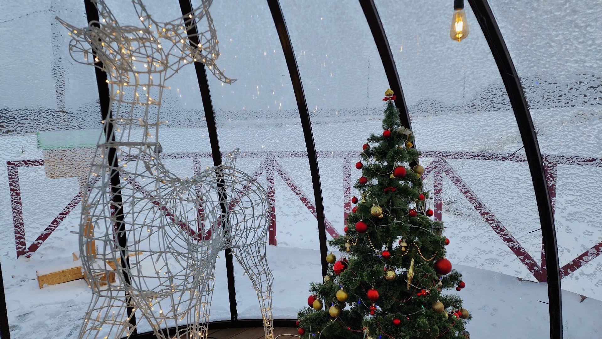 Бронницы, Парк Бронницкий Луг, Резиденция Деда Мороза, В гостях у Деда Мороза, Отправить письмо Деду Морозу,