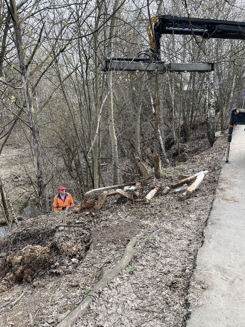 Ромашково, Одинцово, Добродел, река, Чаченка, очистка, экология, мусор,