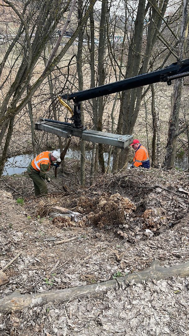 Ромашково, Одинцово, Добродел, река, Чаченка, очистка, экология, мусор,