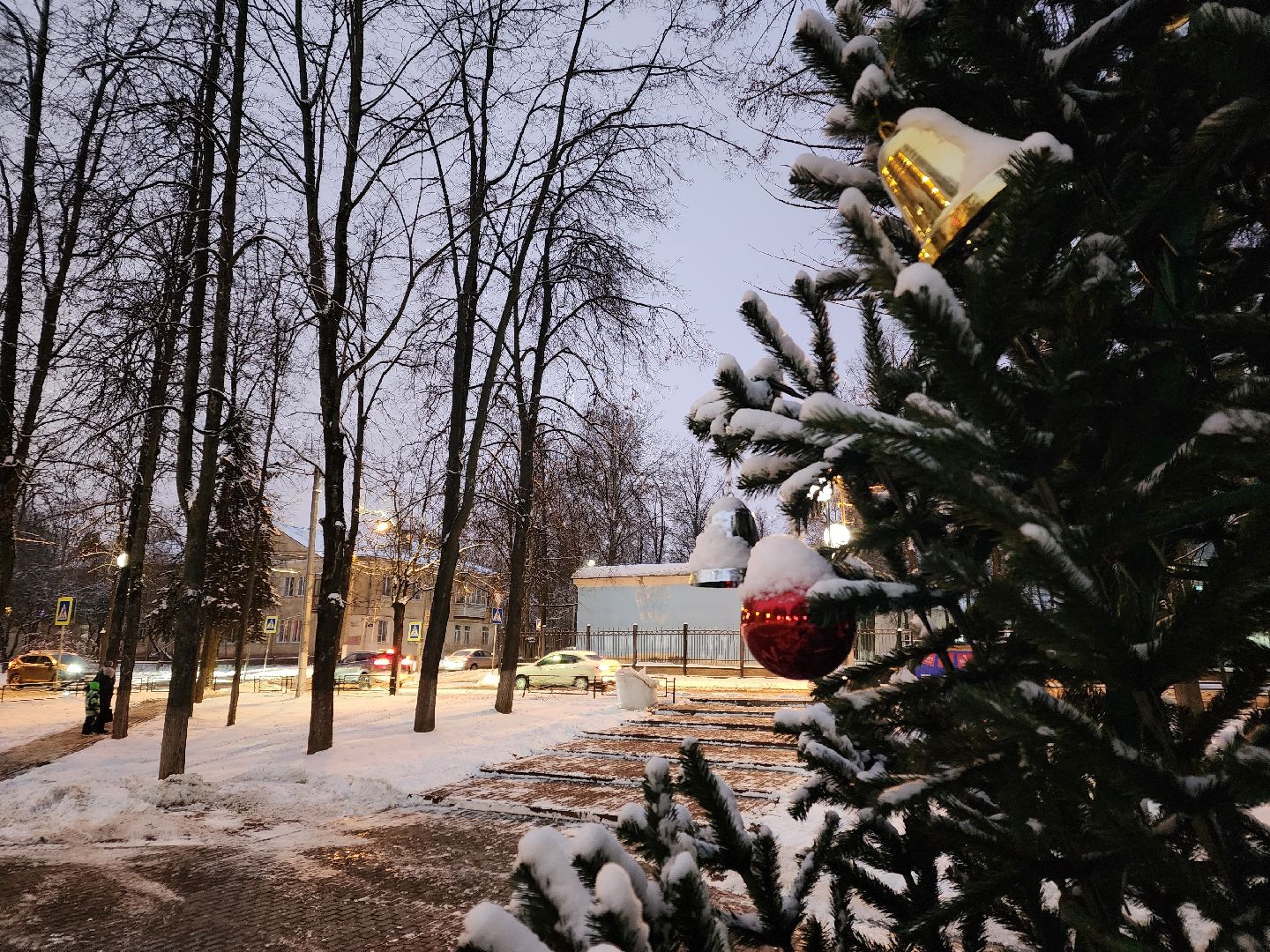 Чехов, сквер Ветеранов, новогодняя елка, подготовка к Новому году, проект губернатора московской области, Зима в Подмосковье, благоустройство, формирование комфортной городской среды, вертикалки,