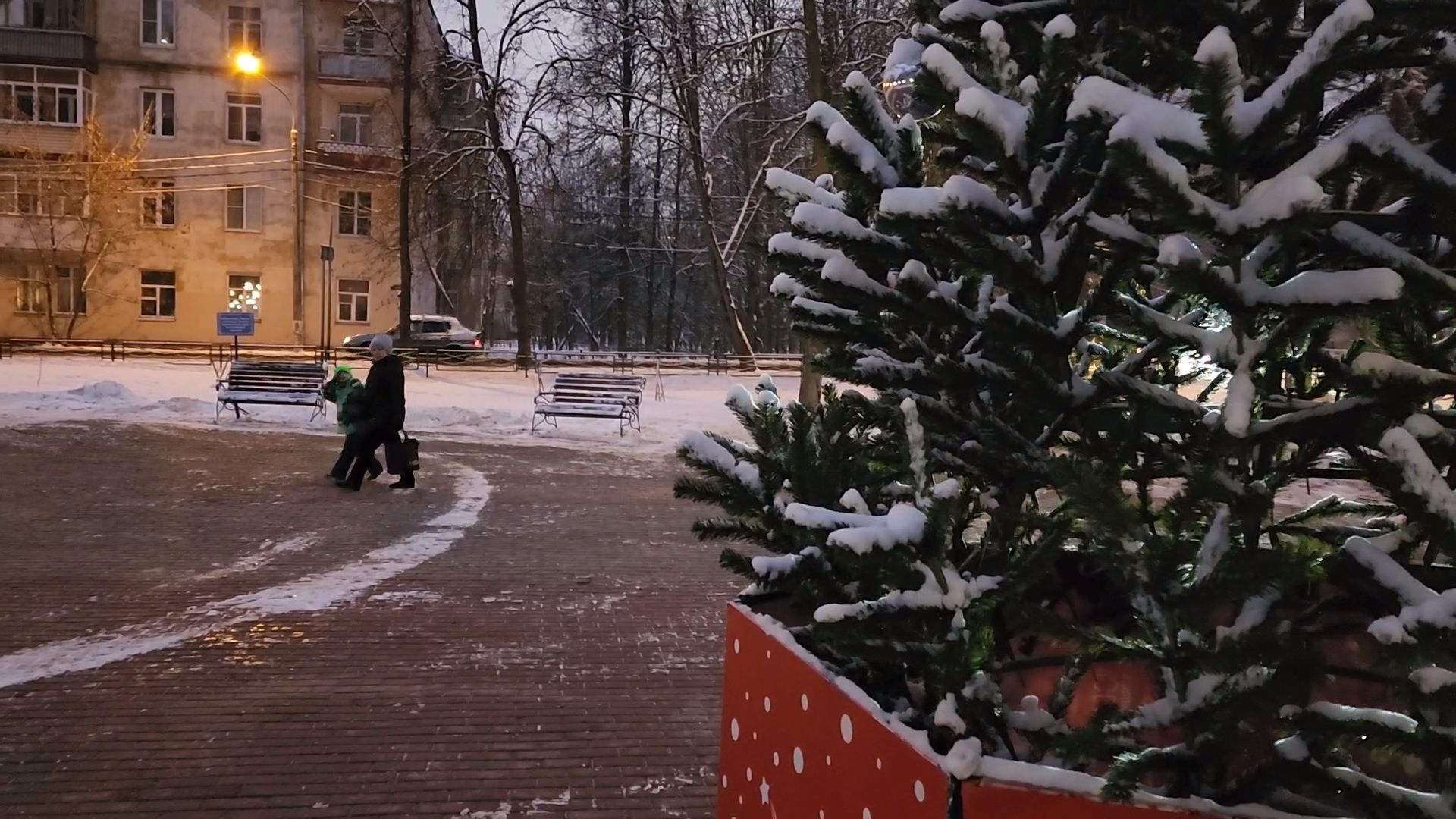 Чехов, сквер Ветеранов, новогодняя елка, подготовка к Новому году, проект губернатора московской области, Зима в Подмосковье, благоустройство, формирование комфортной городской среды, вертикалки,