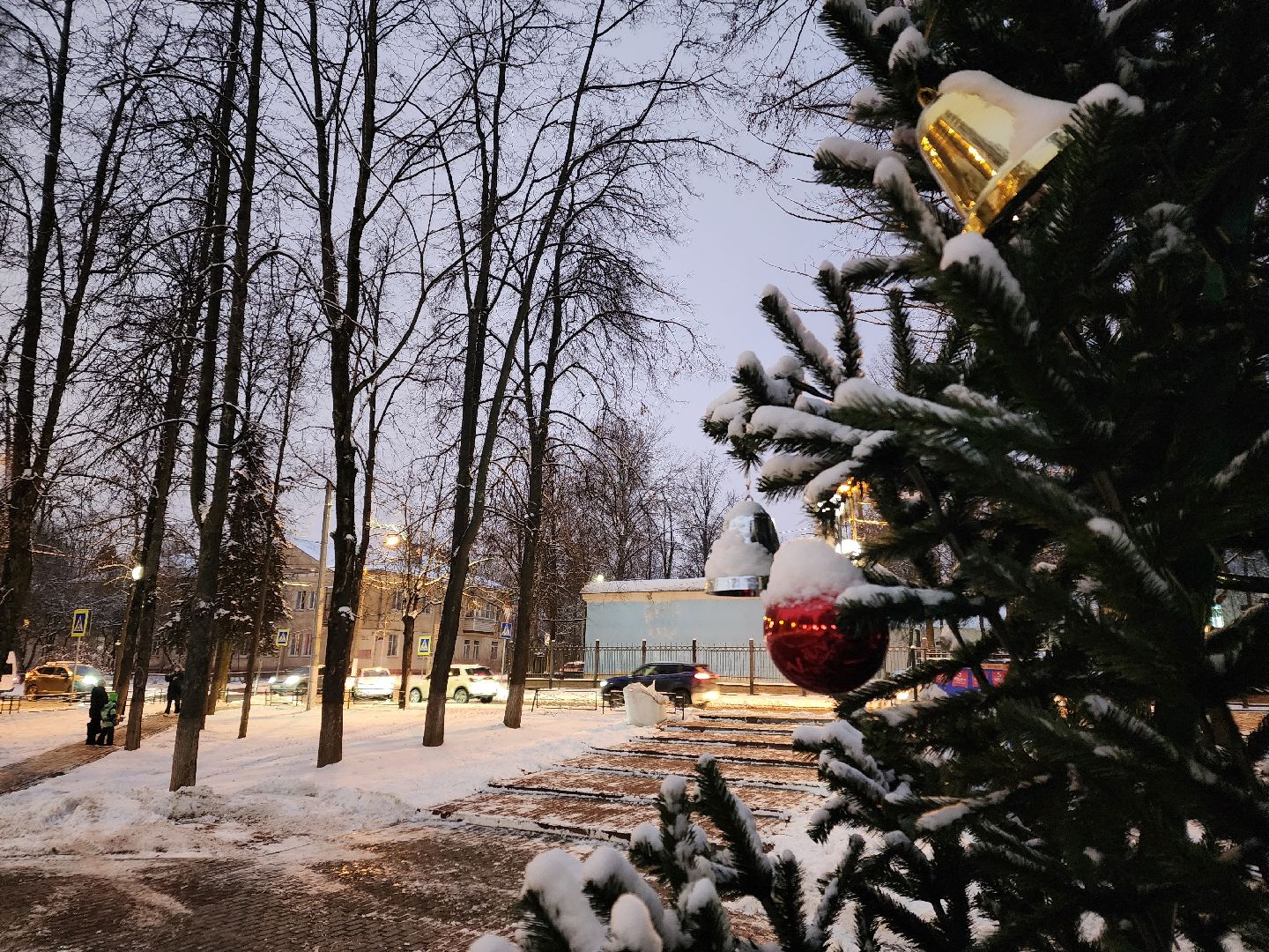 Чехов, сквер Ветеранов, новогодняя елка, подготовка к Новому году, проект губернатора московской области, Зима в Подмосковье, благоустройство, формирование комфортной городской среды, вертикалки,