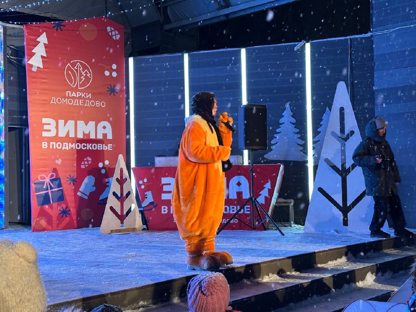 парки, парки домодедово,