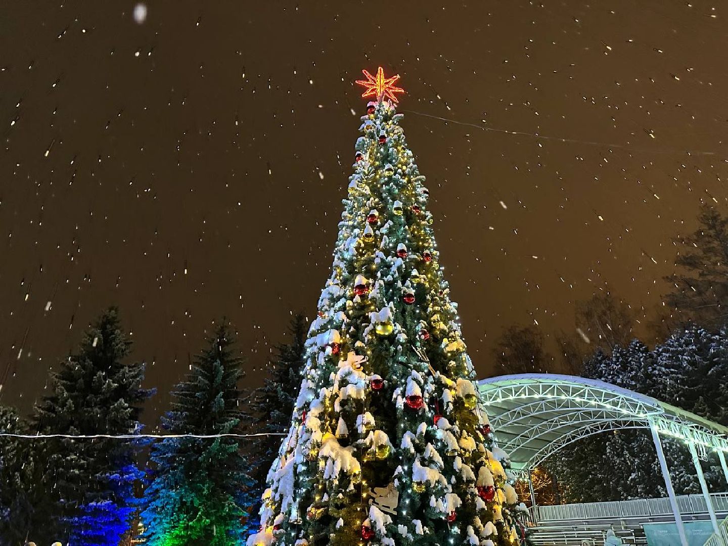парки, парки домодедово,