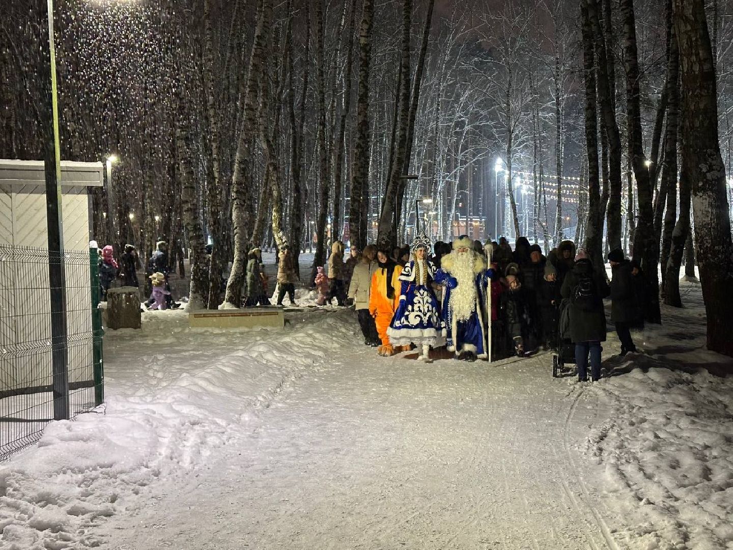 парки, парки домодедово, дед мороз и снегурочка,