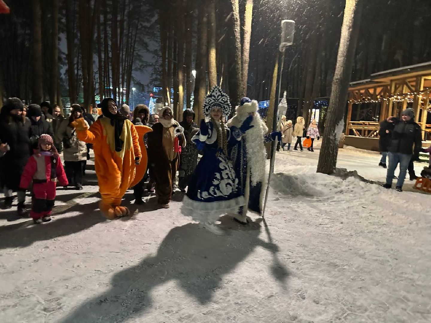 парки, парки домодедово, дед мороз и снегурочка,