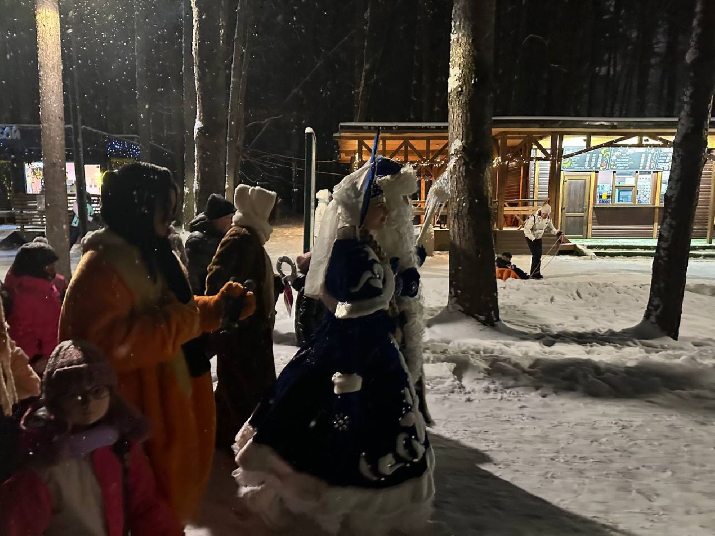 парки, парки домодедово, дед мороз и снегурочка,