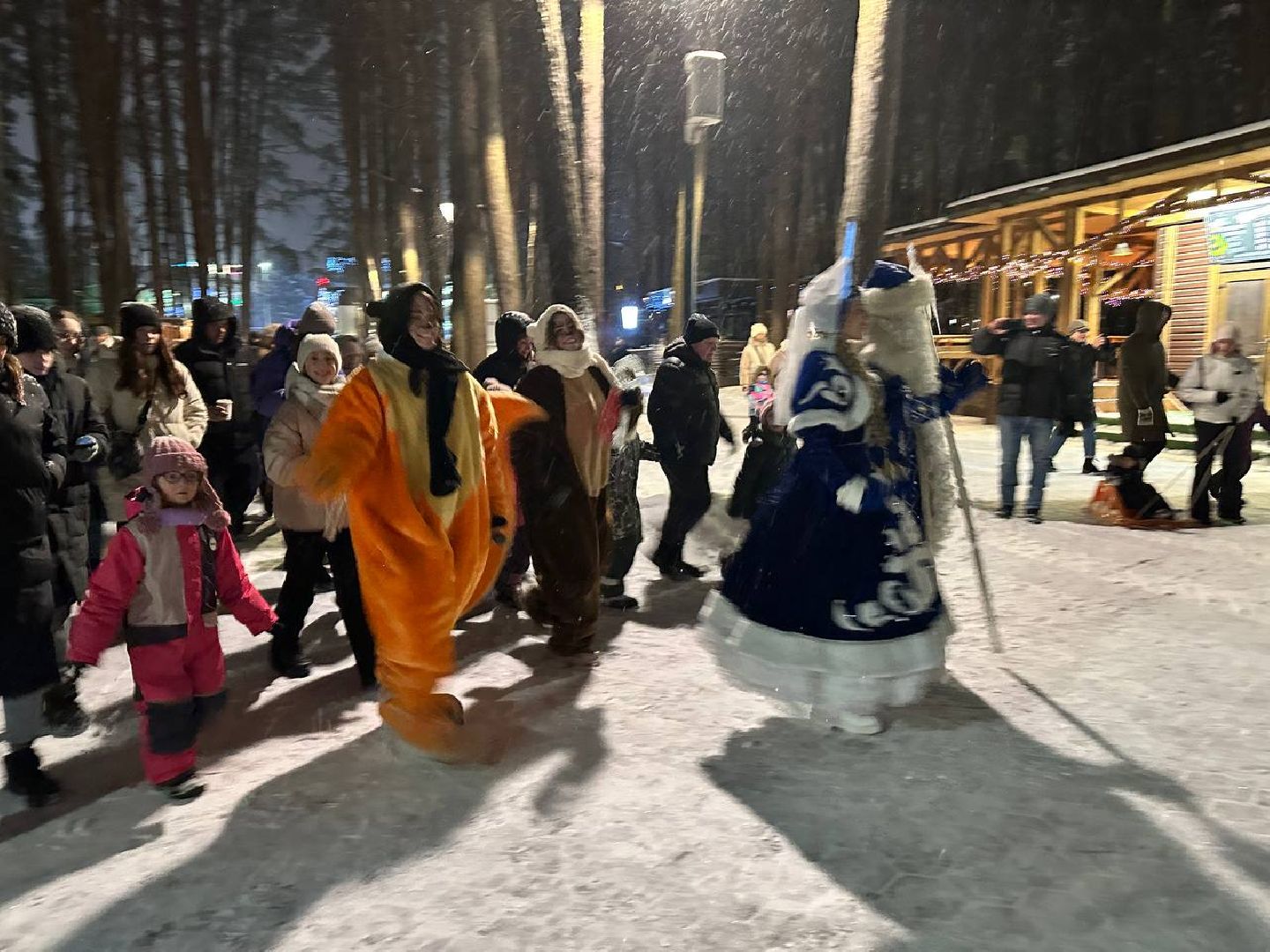 парки, парки домодедово, дед мороз и снегурочка,