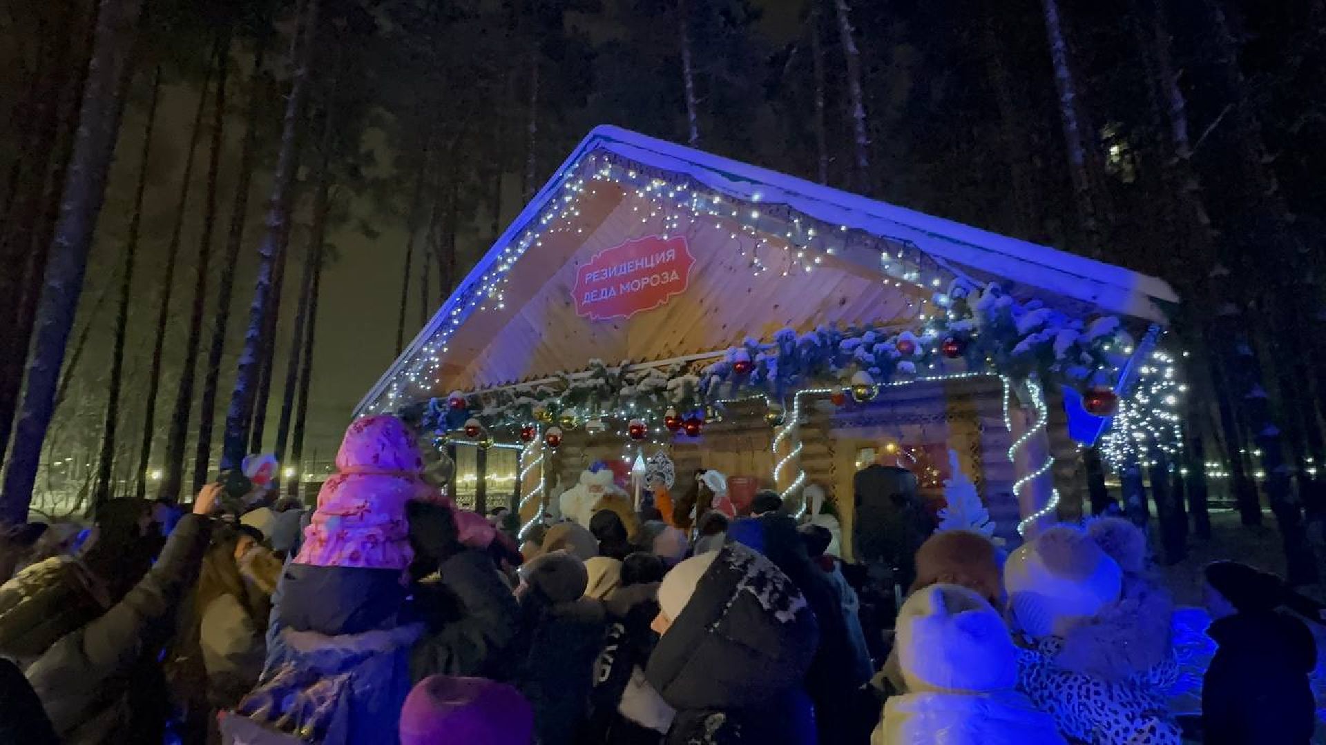 парки, парки домодедово, дед мороз и снегурочка,