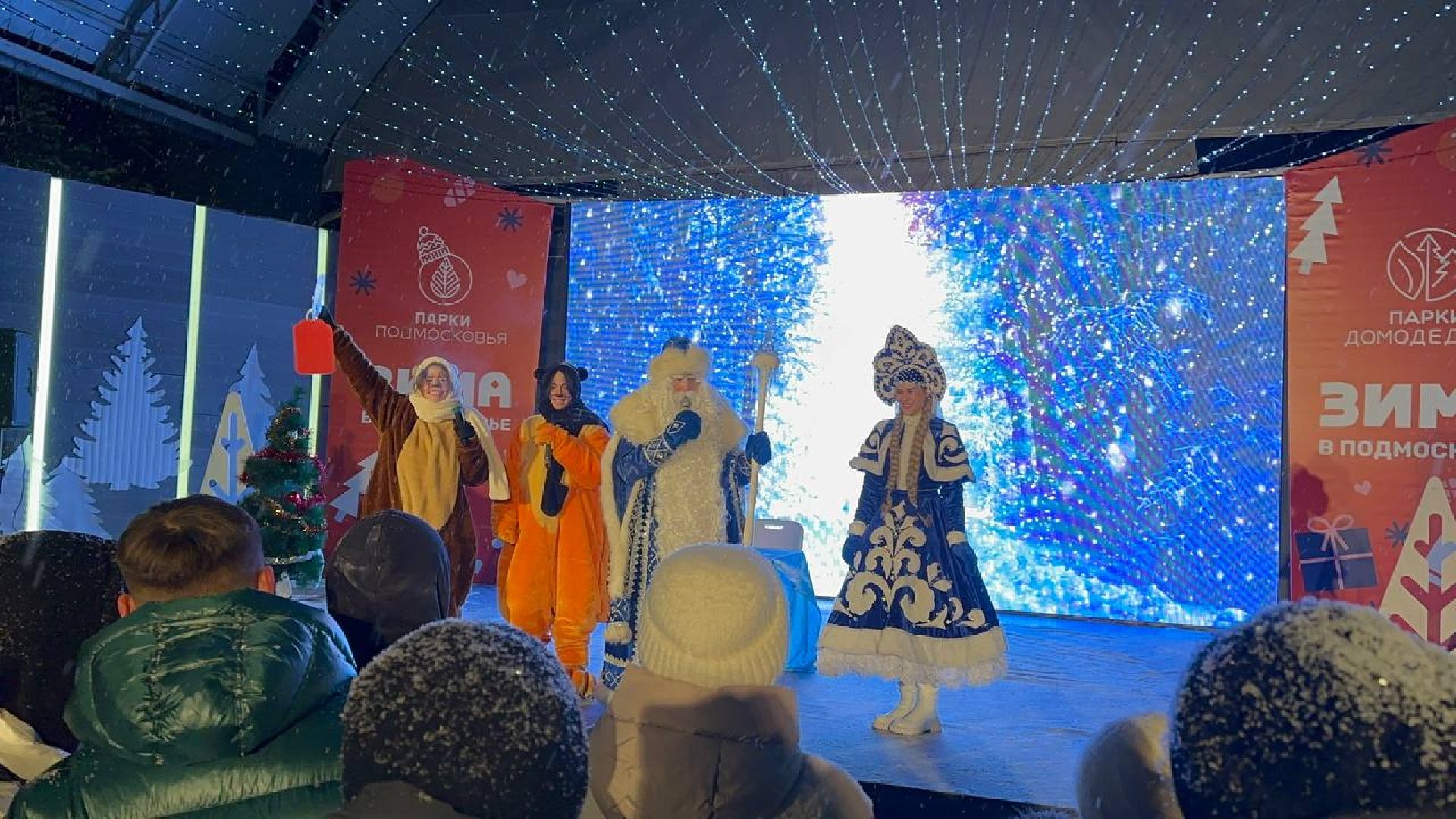 парки, парки домодедово, дед мороз и снегурочка,