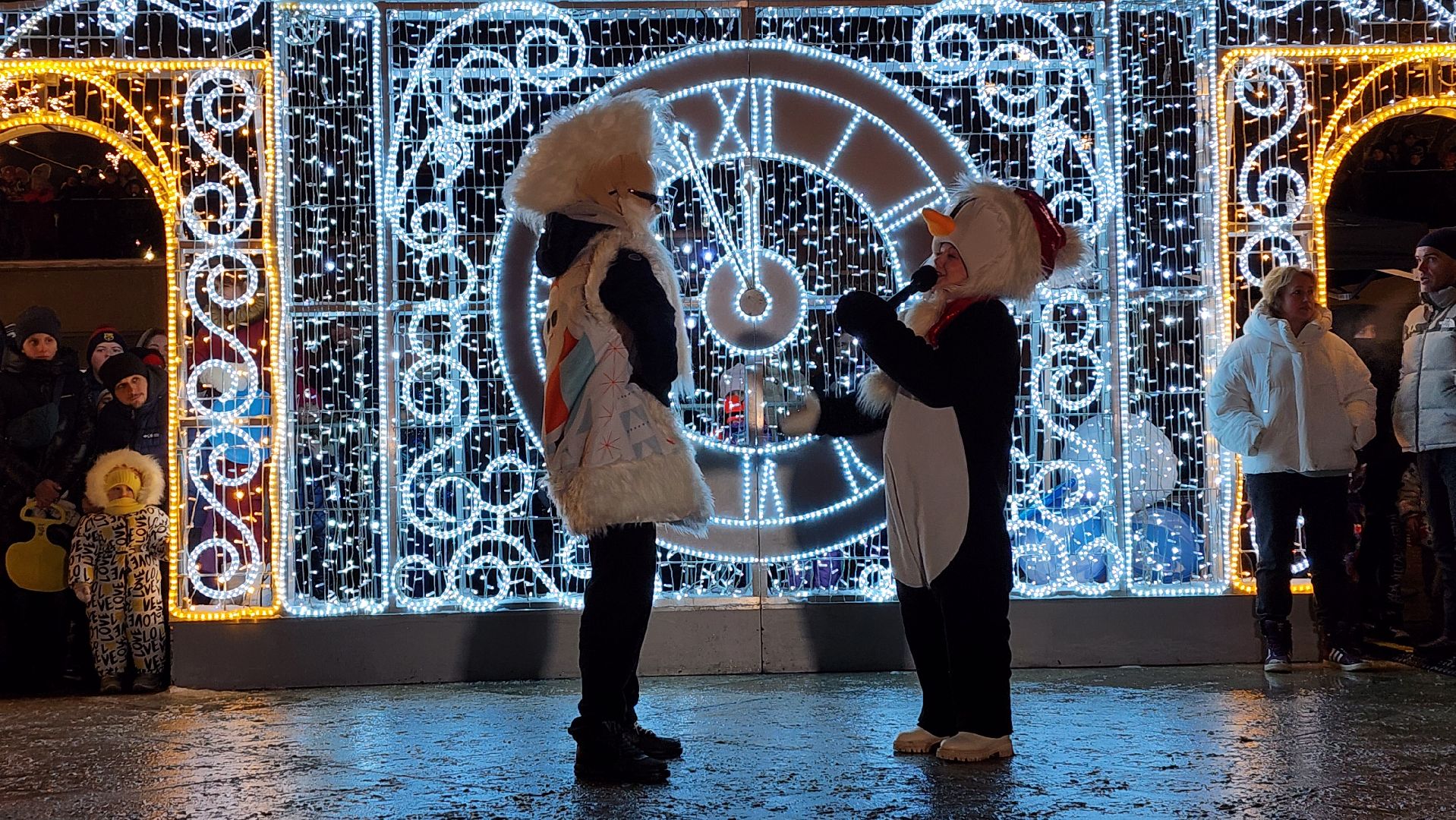 Новый год, интерактивное шоу, Фонтанная площадь, ногинск, Богородский городской округ, вертикалки