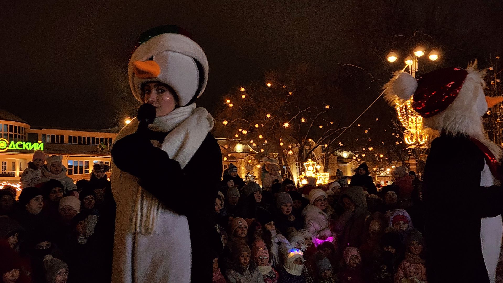 Новый год, интерактивное шоу, Фонтанная площадь, ногинск, Богородский городской округ, вертикалки