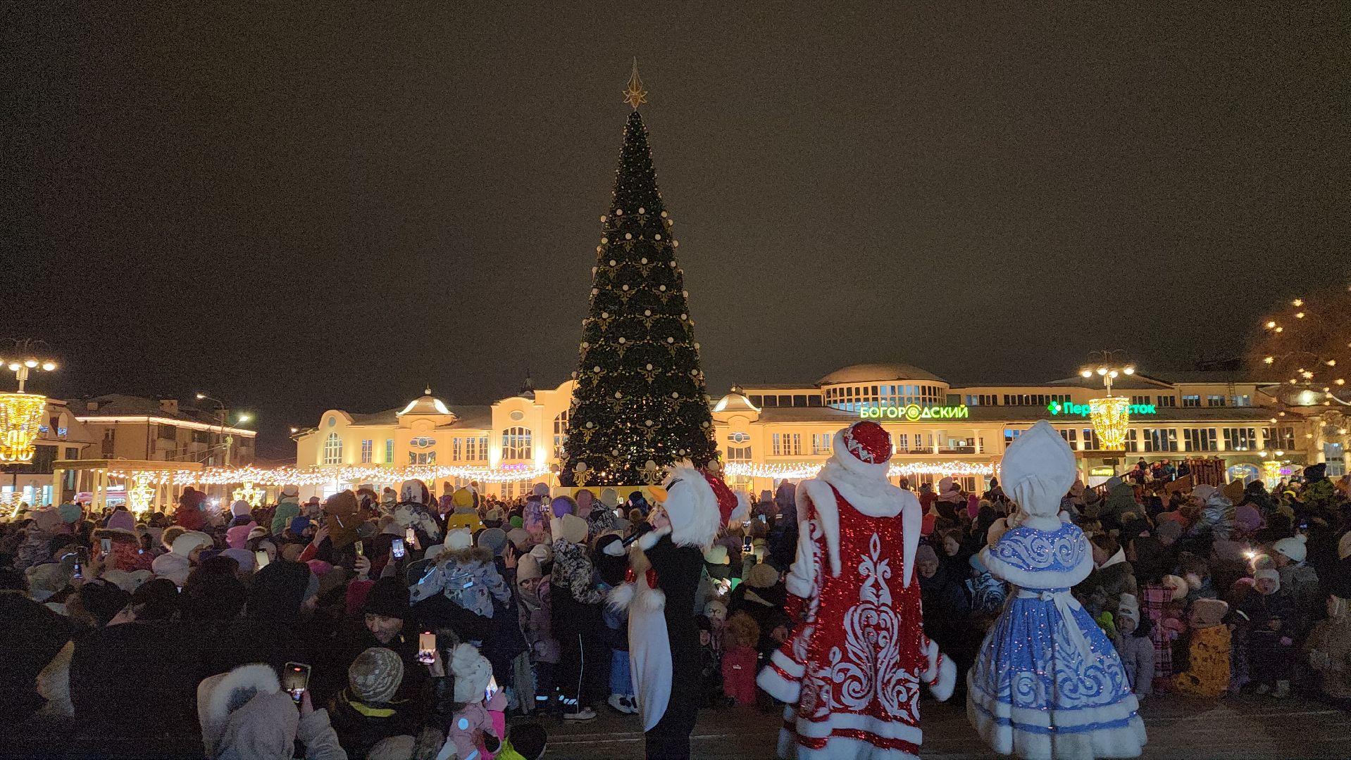 Новый год, интерактивное шоу, Фонтанная площадь, ногинск, Богородский городской округ, вертикалки