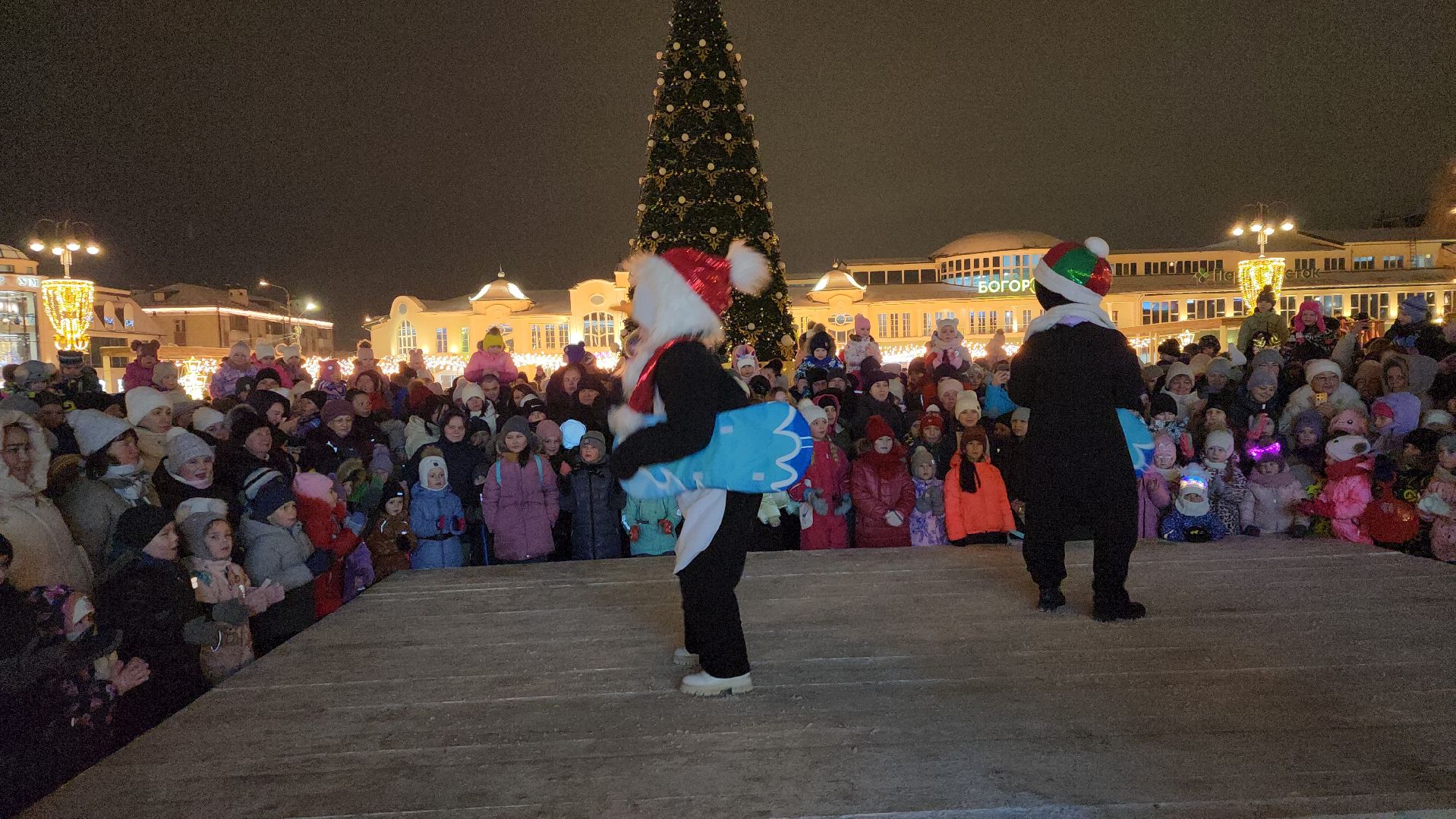 Новый год, интерактивное шоу, Фонтанная площадь, ногинск, Богородский городской округ, вертикалки