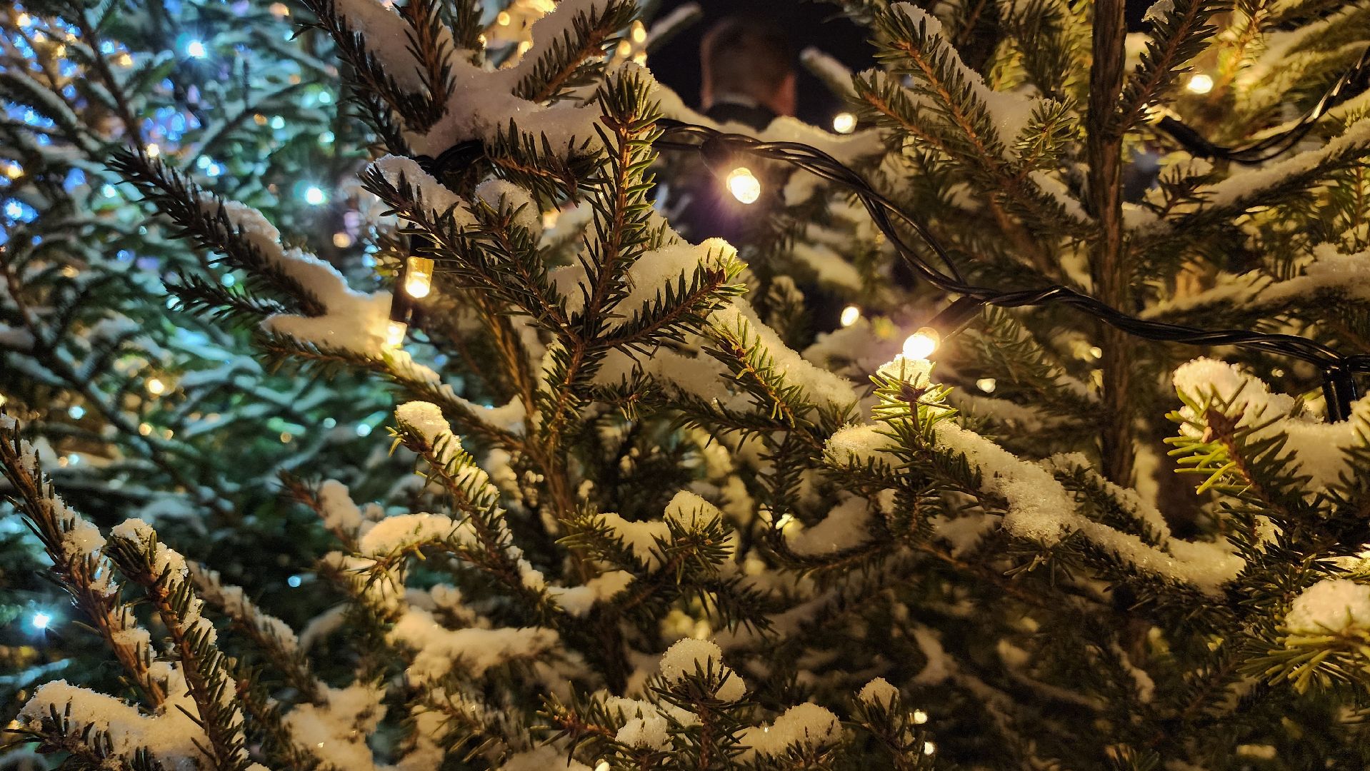 украшение города, новогодняя иллюминация, Фонтанная площадь, Ногинск, Богородский городской округ, вертикалки