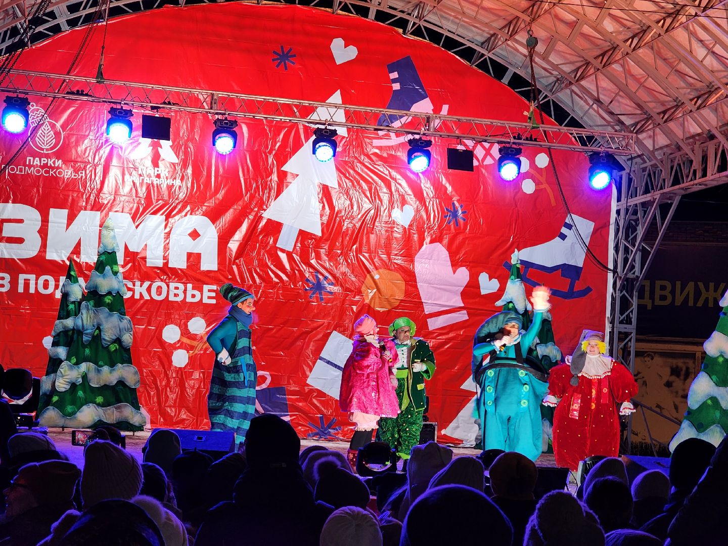 шатура, новый год, зима в парках, зима в подмосковье, Праздник,