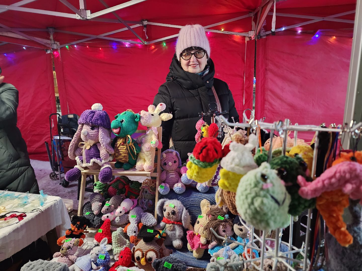 шатура, новый год, зима в парках, зима в подмосковье, Праздник,