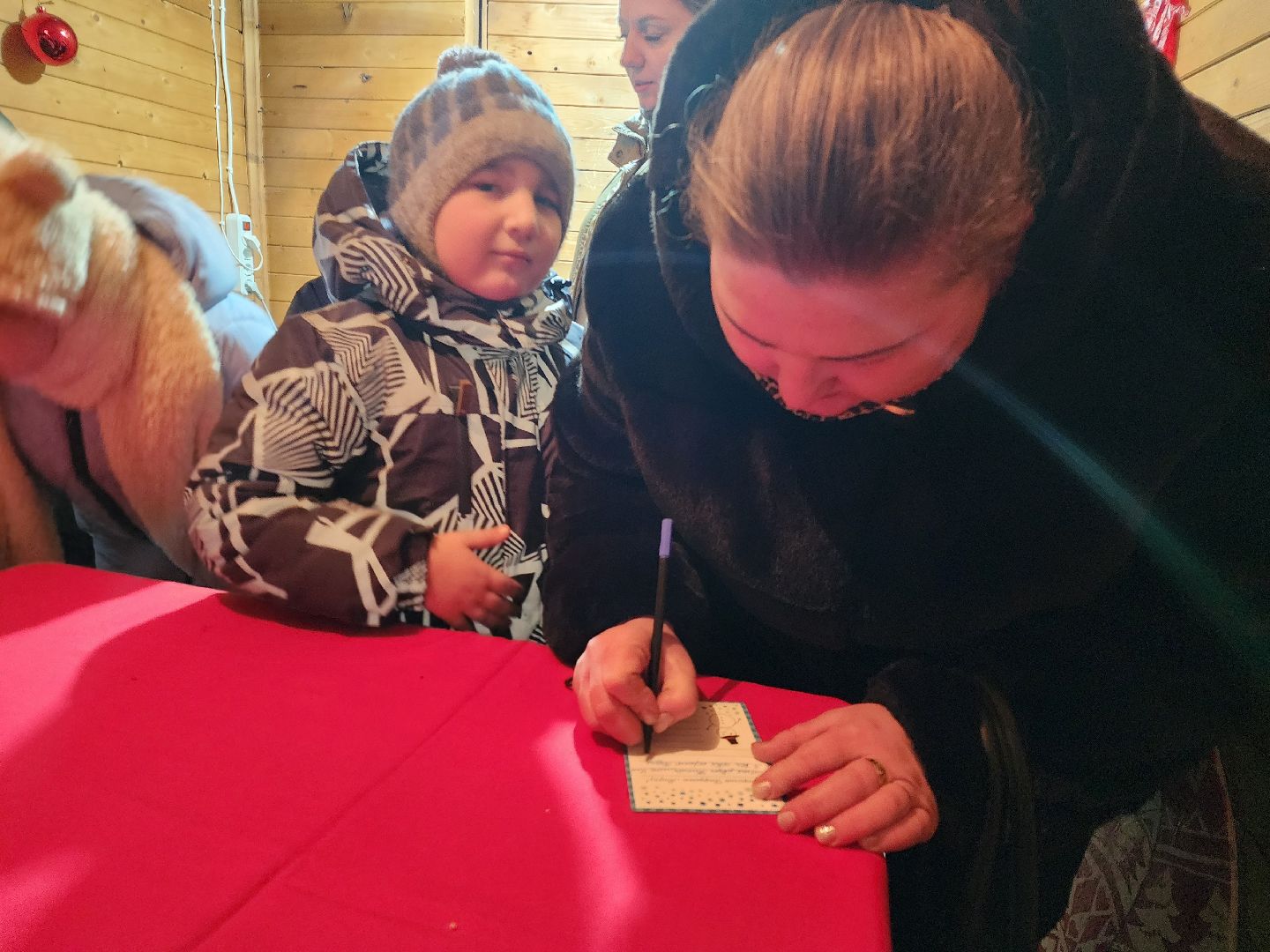 шатура, резиденция деда мороза, зима в подмосковье,