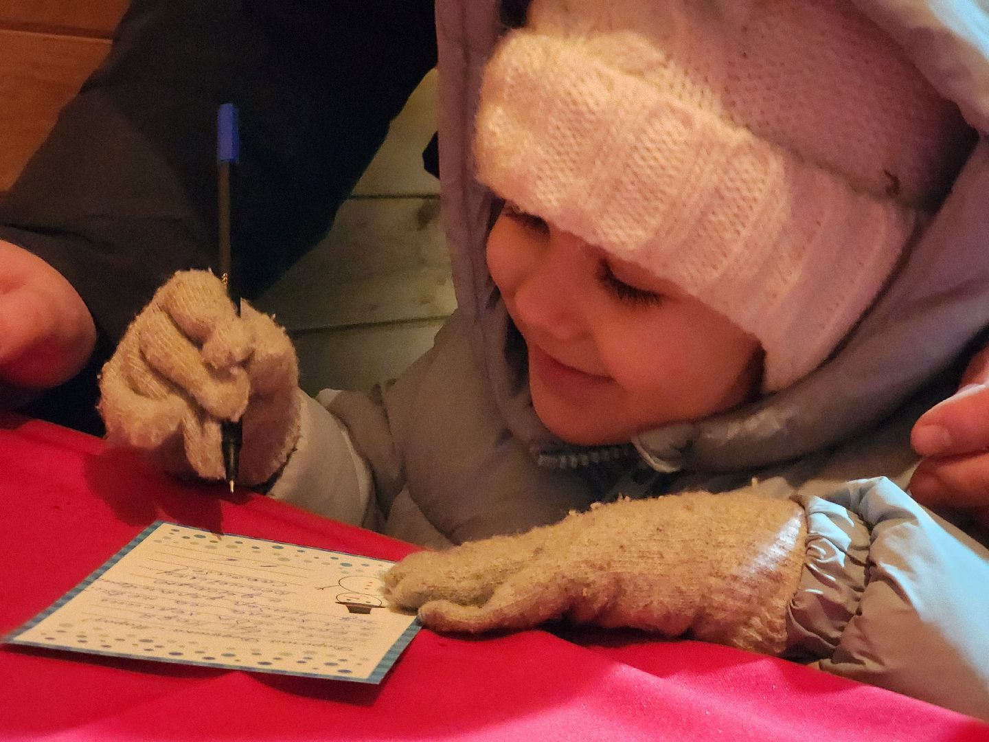 шатура, резиденция деда мороза, зима в подмосковье,