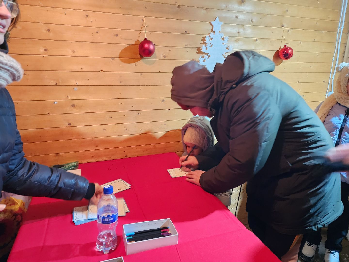 шатура, резиденция деда мороза, зима в подмосковье,