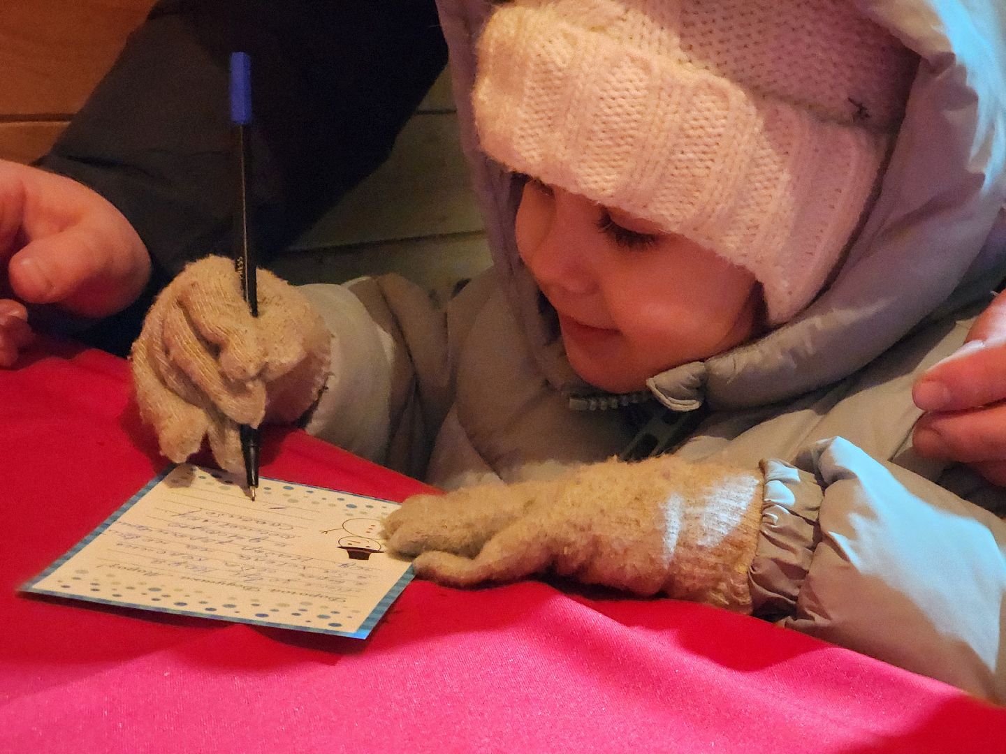 шатура, резиденция деда мороза, зима в подмосковье,