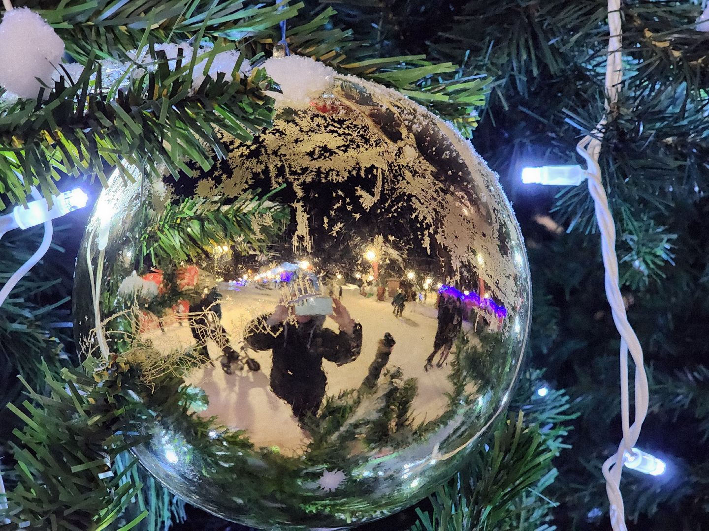 шатура, резиденция деда мороза, зима в подмосковье,