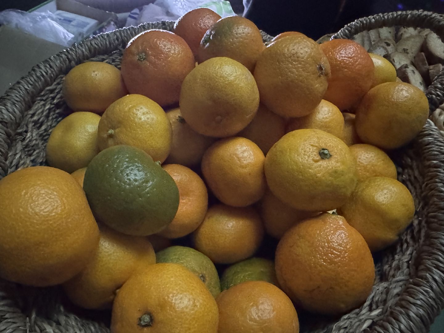 одинцовский парк культуры спорта и отдыха, ледовое шоу, зима в Подмосковье, вертикалка, вертикальное видео,