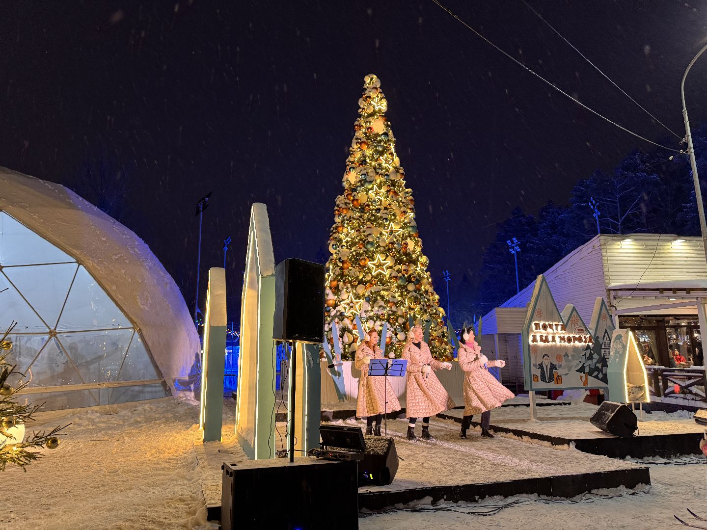 одинцовский парк культуры спорта и отдыха, ледовое шоу, зима в Подмосковье, вертикалка, вертикальное видео,