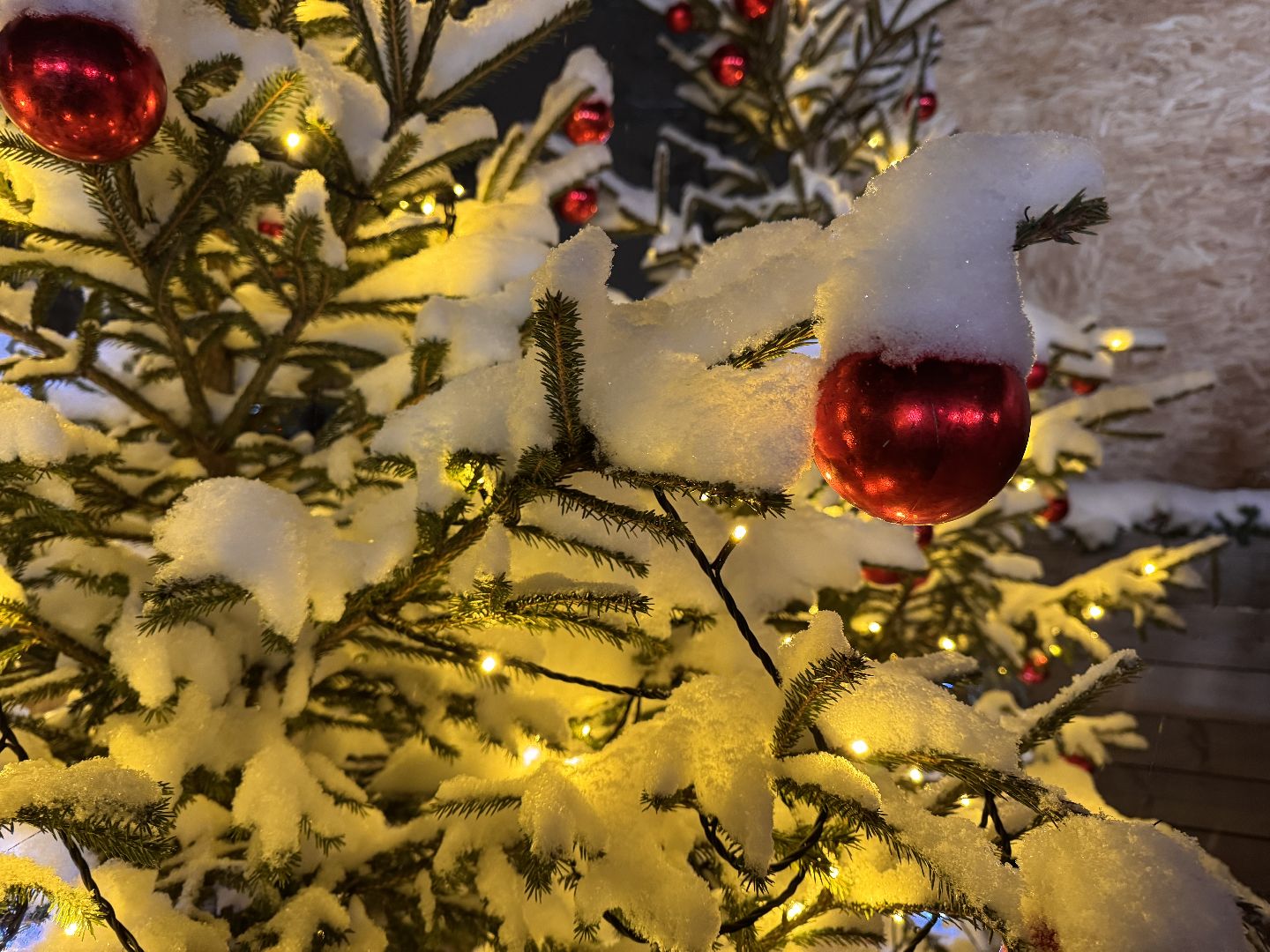 одинцовский парк культуры спорта и отдыха, ледовое шоу, зима в Подмосковье, вертикалка, вертикальное видео,