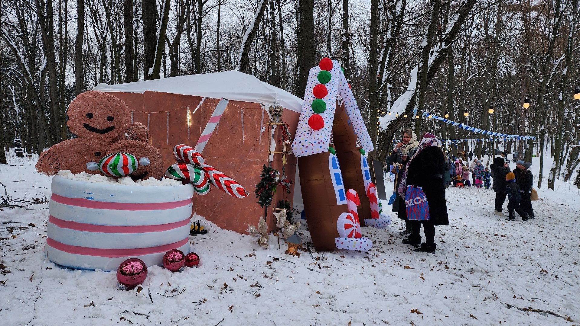 Раменское, Усадьба Быково, Елка в усадьбе Быково, новогоднее представление, Вертикальное видео, Вертикалка,