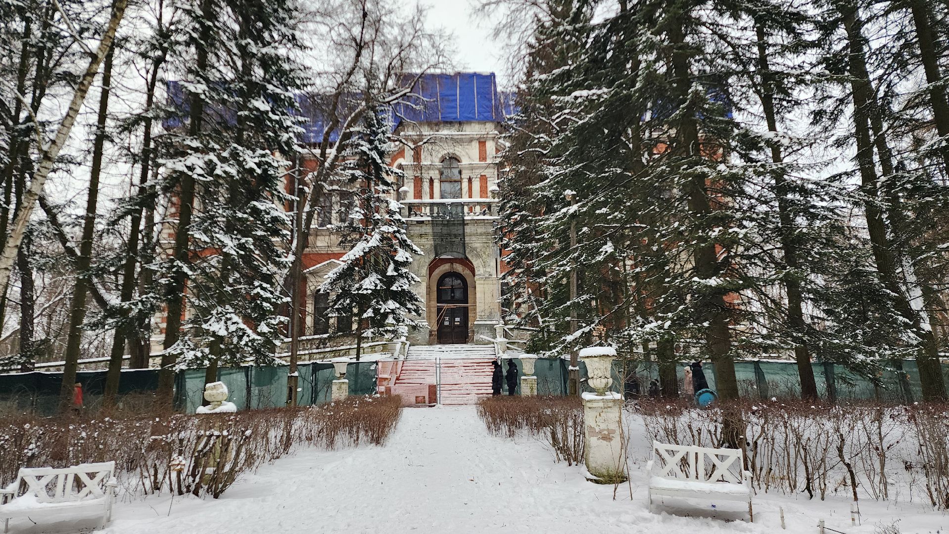 Раменское, Усадьба Быково, Елка в усадьбе Быково, новогоднее представление, Вертикальное видео, Вертикалка,