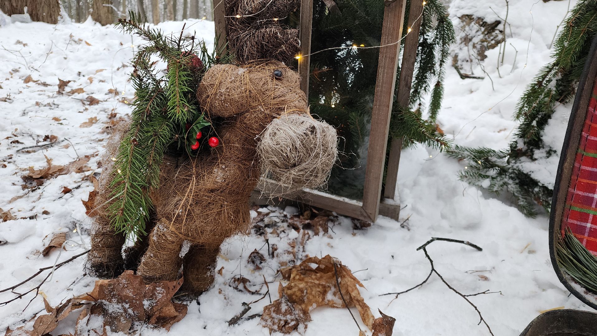 Раменское, Усадьба Быково, Елка в усадьбе Быково, новогоднее представление, Вертикальное видео, Вертикалка,