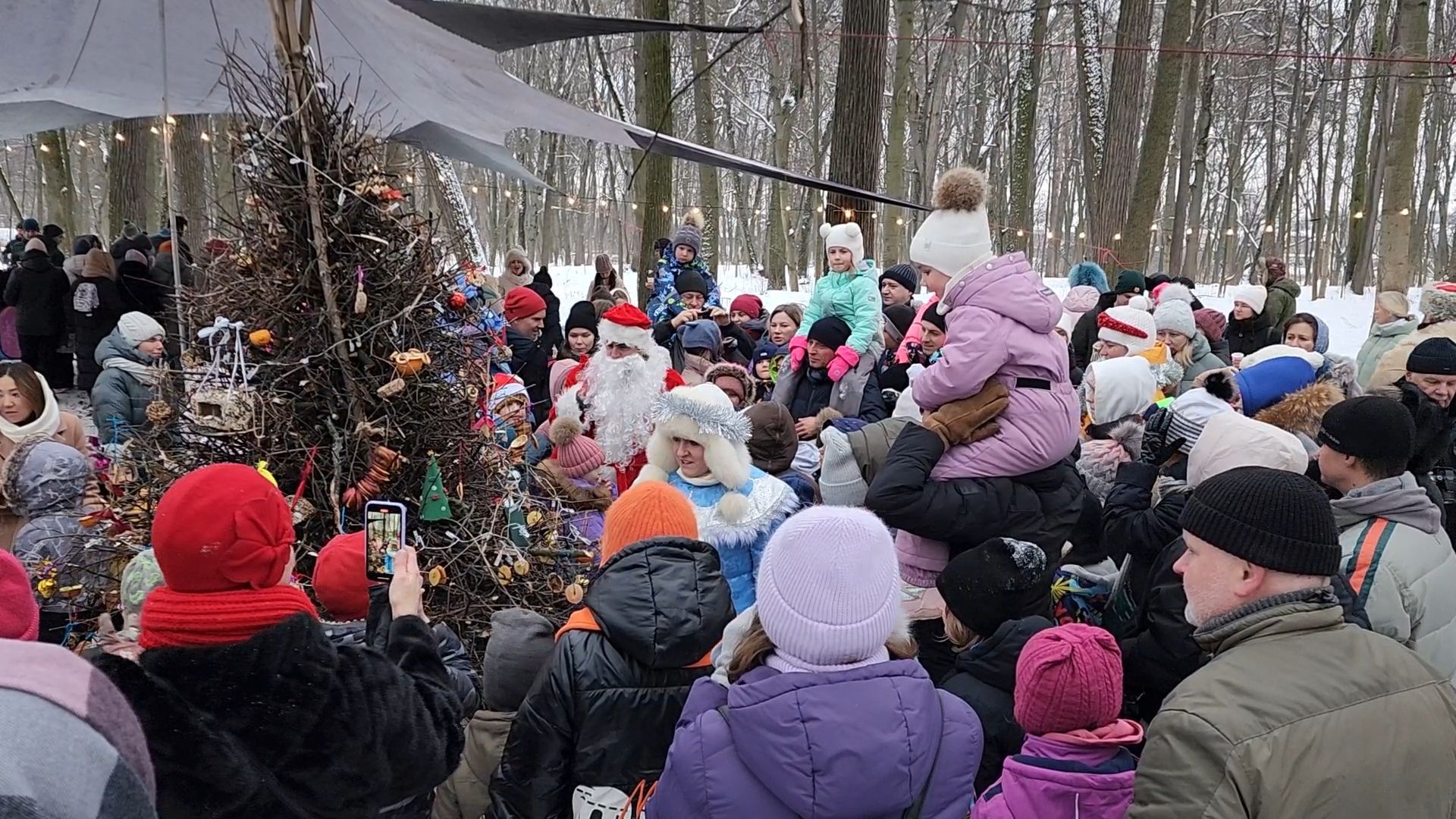 Раменское, Усадьба Быково, Елка в усадьбе Быково, новогоднее представление, Вертикальное видео, Вертикалка,