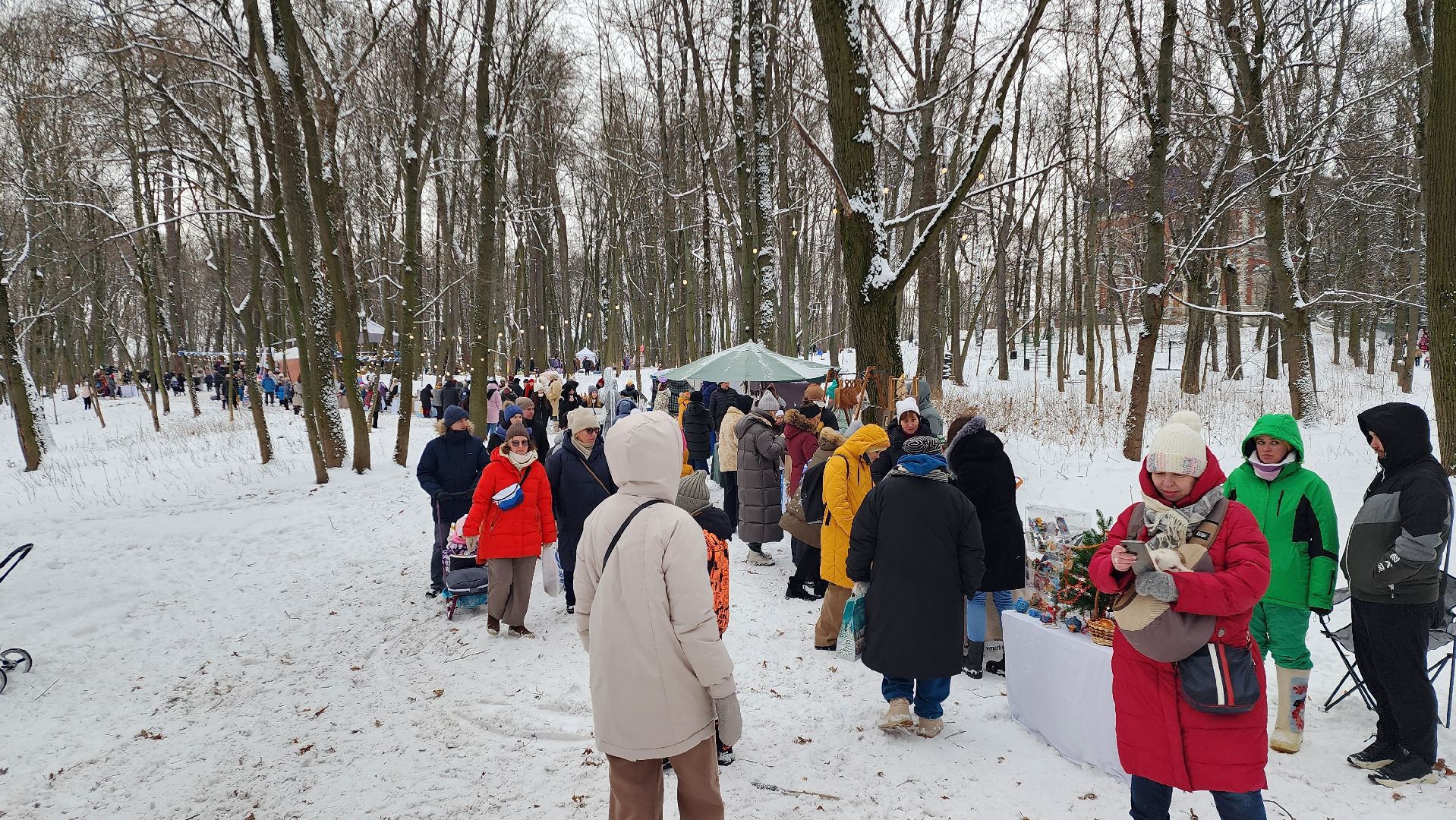 Раменское, Усадьба Быково, Елка в усадьбе Быково, новогоднее представление, Вертикальное видео, Вертикалка,