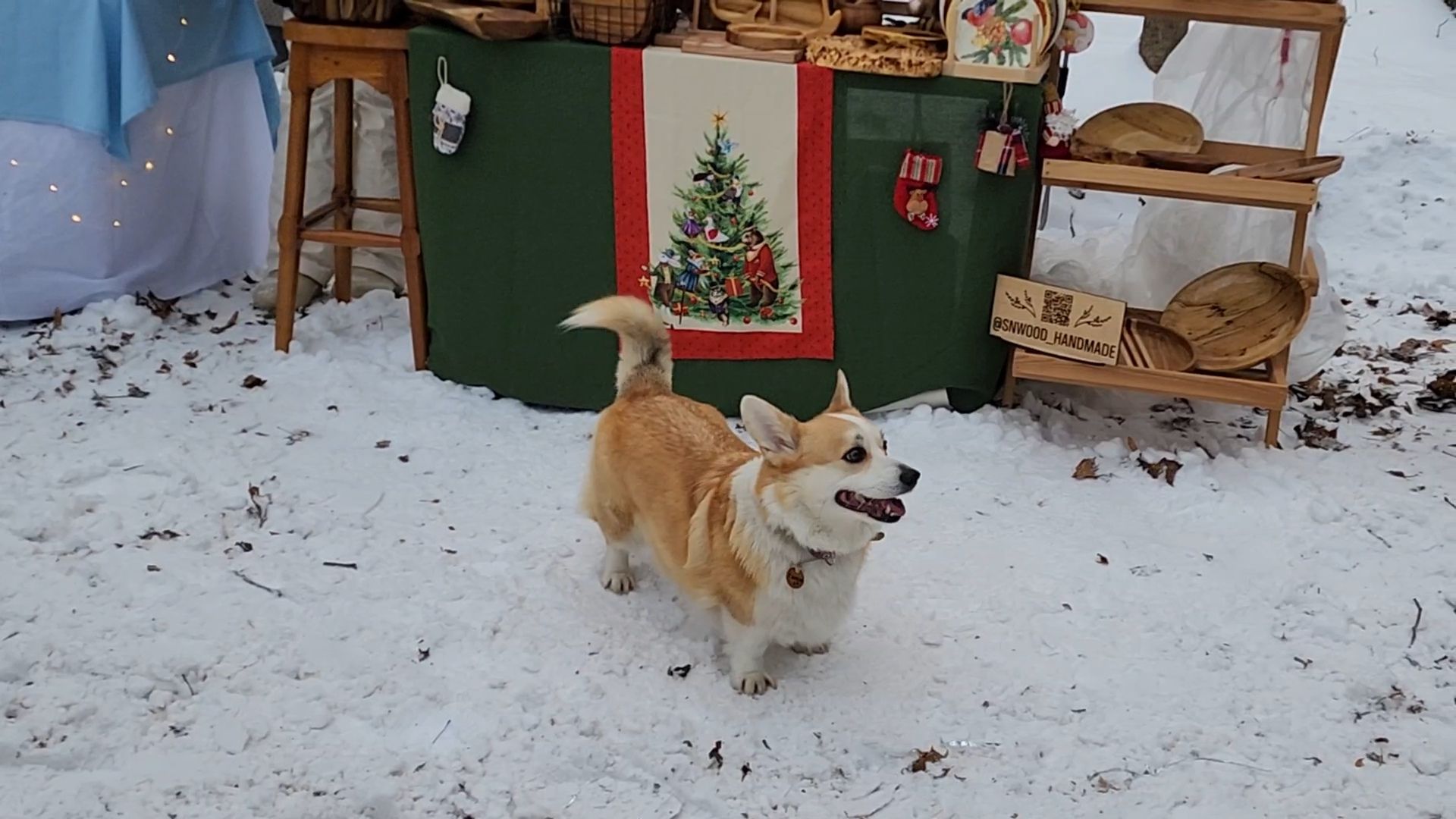 Раменское, Усадьба Быково, Елка в усадьбе Быково, новогоднее представление, Вертикальное видео, Вертикалка,