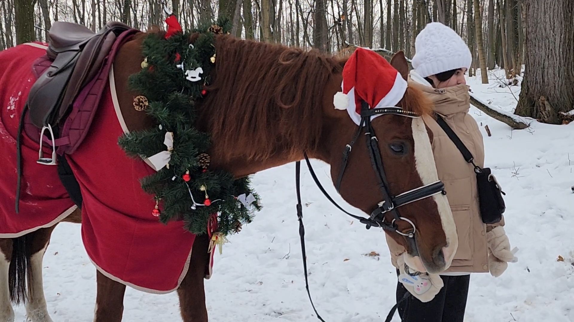Раменское, Усадьба Быково, Елка в усадьбе Быково, новогоднее представление, Вертикальное видео, Вертикалка,