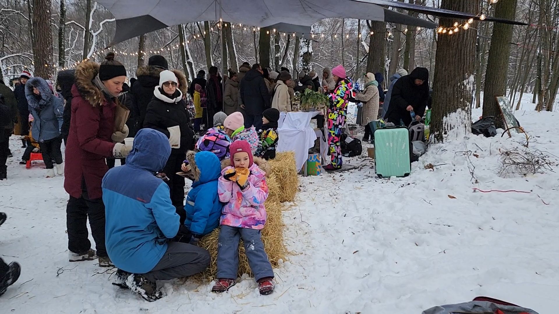 Раменское, Усадьба Быково, Елка в усадьбе Быково, новогоднее представление, Вертикальное видео, Вертикалка,