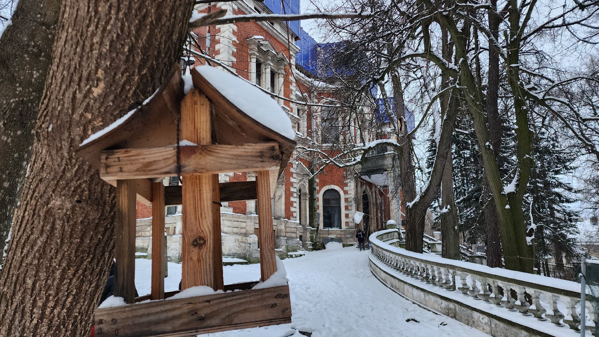 Раменское, Усадьба Быково, Елка в усадьбе Быково, новогоднее представление, Вертикальное видео, Вертикалка,